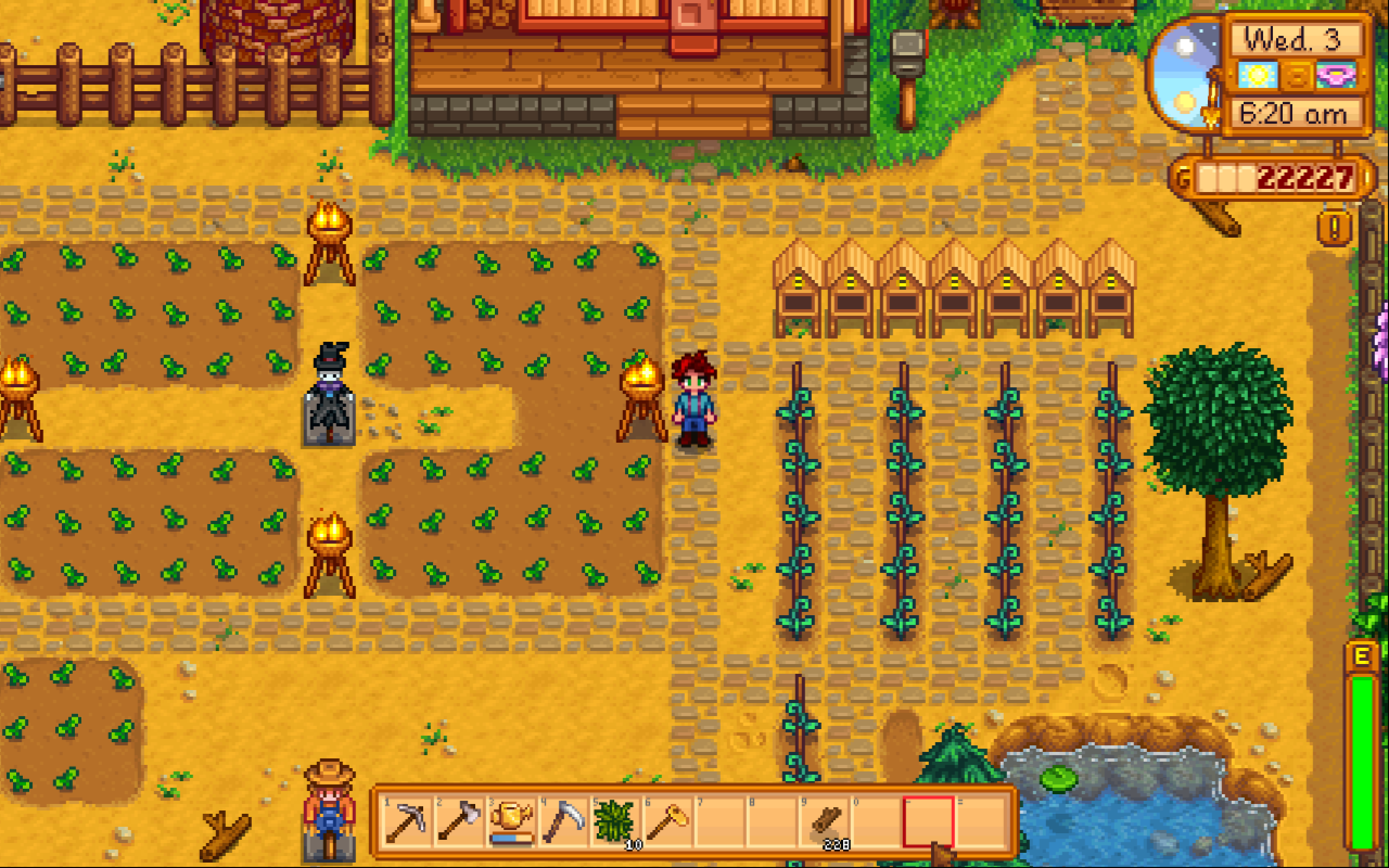 Svfarm
